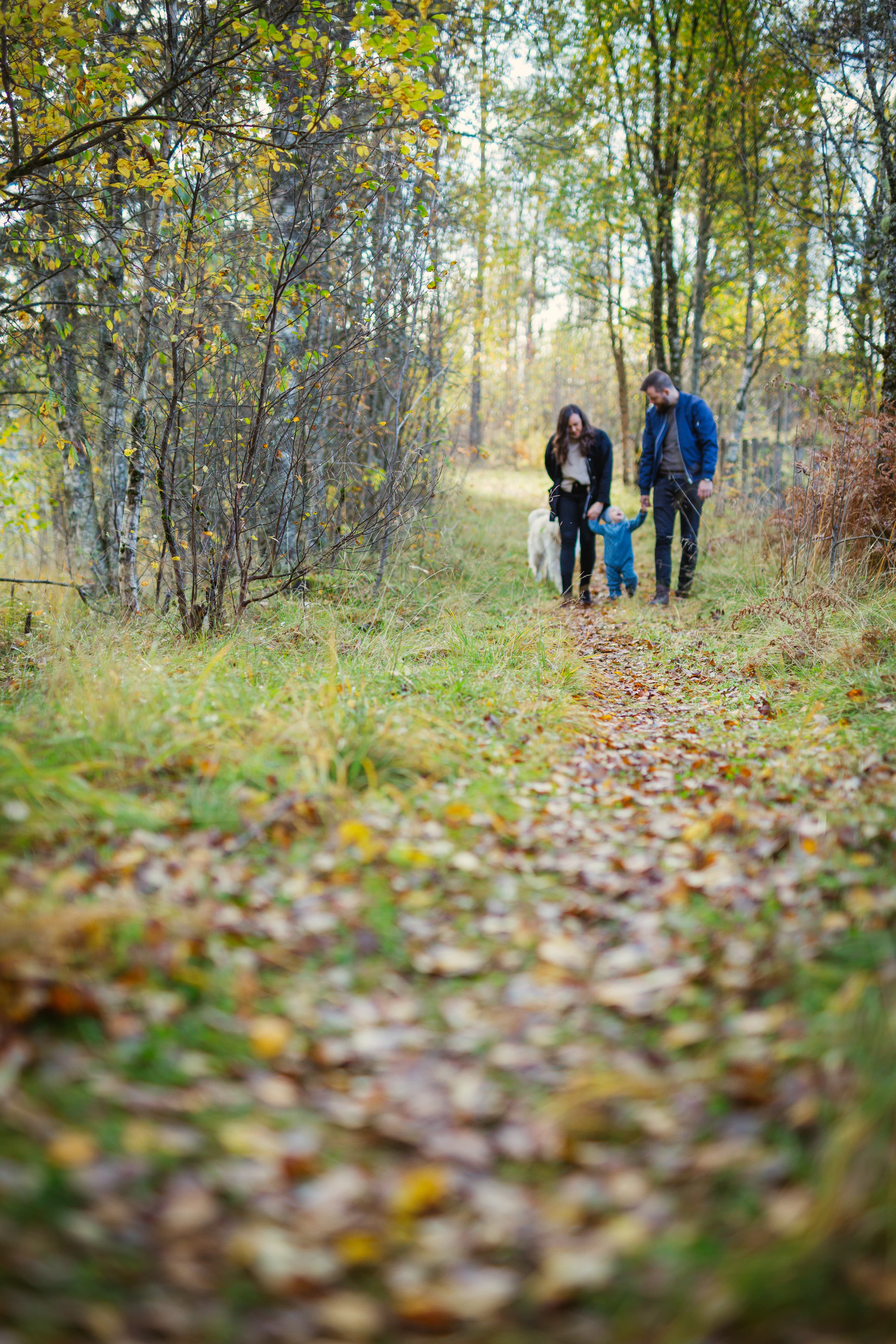 bakgrunnsbilete av familien i skogen